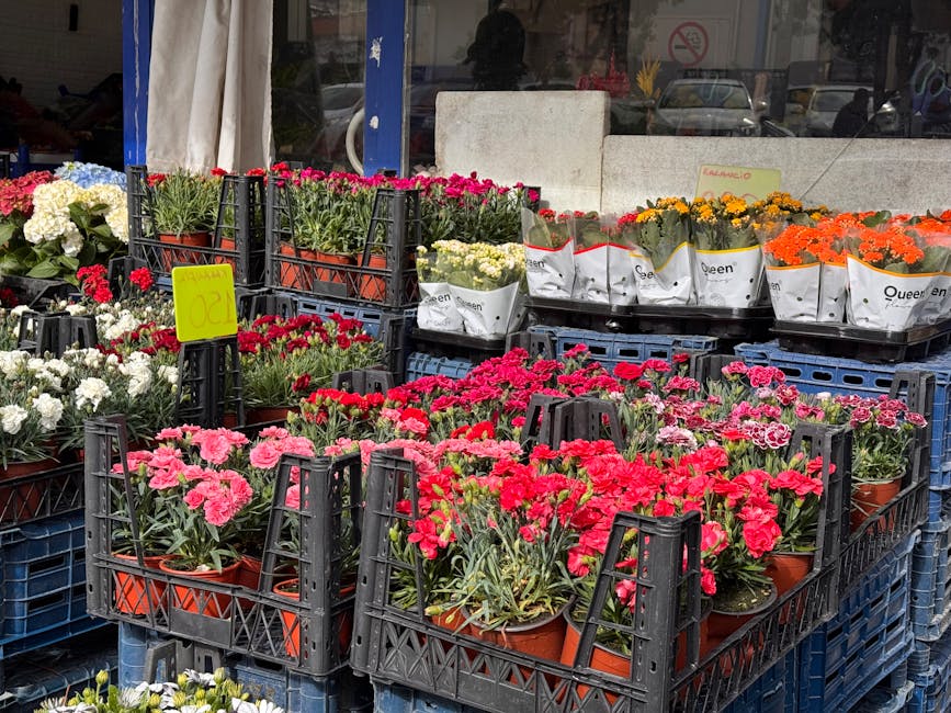 Outdoor display of various potted flowers arranged in black plastic crates, featuring vibrant pink, red, white, yellow, and orange blooms. Some plants are wrapped in white paper with brand labels, and